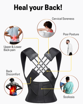 Alyno Posture Corrector | Look Taller & Feel Relieved Instantly (Universal Size)
